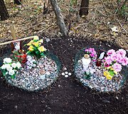Vėlinių žvakutės - ir Vilniaus gyvūnų kapinėse.