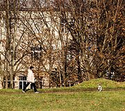 Vilnius paniręs į melsvą rūką