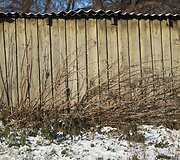 Saulėtas antradienis Vilniuje