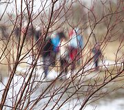 Atidaryta nauja pėsčiųjų ir slidinėjimo trasa