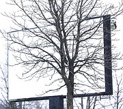 Sekmadienį Vilniuje - balta, balta. Nosis kutena žvarbus vėjas.