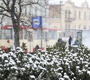 Sekmadienį Vilniuje - balta, balta. Nosis kutena žvarbus vėjas.