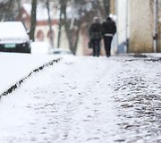 Sekmadienį Vilniuje - balta, balta. Nosis kutena žvarbus vėjas.