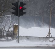 Pūga Vilniuje