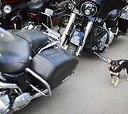 Vilniaus regiono motociklininkai oficialiai skelbia sezoną pradžią