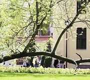 Vilniečiai mėgavosi pavasari&scaron;ka sekmadienio popiete