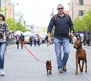 Vilniečiai mėgavosi pavasari&scaron;ka sekmadienio popiete