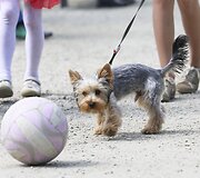 Vilniečiai mėgavosi pavasari&scaron;ka sekmadienio popiete