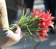Antakalnio kapinėse &ndash; gėlių ir Georgijaus juostelių jūra