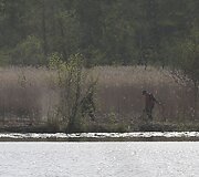 Kazimieravo kaime &ndash; neįprasta ugniagesių operacija.