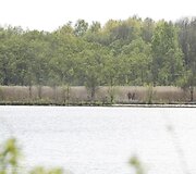 Kazimieravo kaime &ndash; neįprasta ugniagesių operacija.