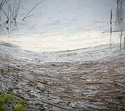 Lietus gaivina gamtą ir merkia praeivius