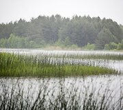 Lietus gaivina gamtą ir merkia praeivius