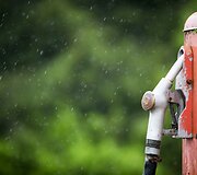Lietus gaivina gamtą ir merkia praeivius