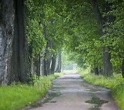 Lietus gaivina gamtą ir merkia praeivius