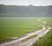 Lietus gaivina gamtą ir merkia praeivius