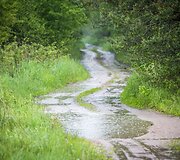 Lietus gaivina gamtą ir merkia praeivius