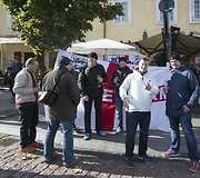 Anglijos sirgaliai Vilniaus senamiestyje