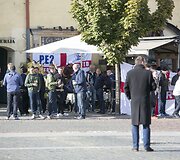 Anglijos sirgaliai Vilniaus senamiestyje