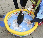 Jaunieji konservatoriai po Vyriausybės langais &scaron;aipėsi i&scaron; Druskininkų skandalo