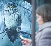 Lietus negailestingai merkia Vilnių