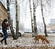 Vilniečiai pro langą i&scaron;vydo pirmąsias snaiges