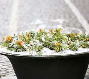 Vilniečiai pro langą i&scaron;vydo pirmąsias snaiges