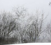 Ant Liepkalnio kalno jau sninga