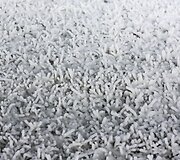 Ant Liepkalnio kalno jau sninga