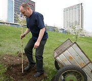 Sakurų atsodinimas