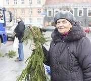 Kalėdinės eglių &scaron;akų dalybos