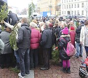 Kalėdinės eglių &scaron;akų dalybos