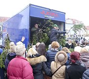 Kalėdinės eglių &scaron;akų dalybos