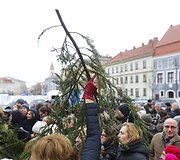 Kalėdinės eglių &scaron;akų dalybos