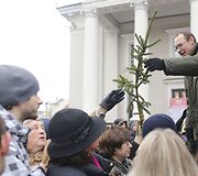 Kalėdinės eglių &scaron;akų dalybos