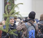 Kalėdinės eglių &scaron;akų dalybos