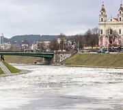 Ledone&scaron;is