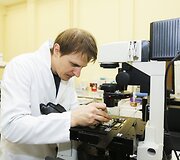 Linas Mažutis