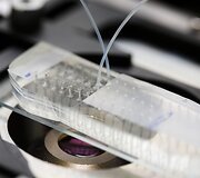 Mikroskysčių technologijos laboratorija VU Biotechnologijos institute