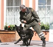 Gyvūnų mylėtojai bandė dar kartą atkreipti dėmesį į namų neturinčius augintinius