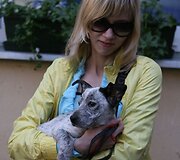 Gyvūnų mylėtojai bandė dar kartą atkreipti dėmesį į namų neturinčius augintinius