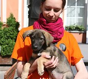 Gyvūnų mylėtojai bandė dar kartą atkreipti dėmesį į namų neturinčius augintinius