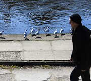 Saulėtas penktadienis Vilniuje