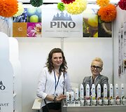 &bdquo;Pelenė 2016&ldquo;