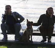 Balandžio 20-ąją &scaron;venčiama tarptautinė Kanapės diena