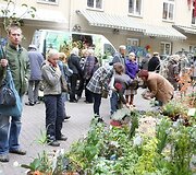 &bdquo;Sodo kraitėje&ldquo;, Vilniuje, žinomi Lietuvos žmonės gamino savo salotas