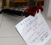 Pasitikėjimą praradusį Vilių Navicką pakeitė Raimundas Alekna