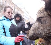 Kaziuko mugėje Vilniuje &ndash; netikėtos prekės ir minios žmonių. 