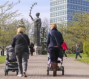 Vilniečiai su nekantrumu laukia sakurų žiedų sprogimo