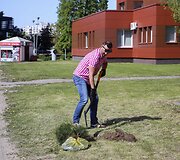 Vilniaus &Scaron;e&scaron;kinės rajonas nuo &scaron;iol bus žalesnis 